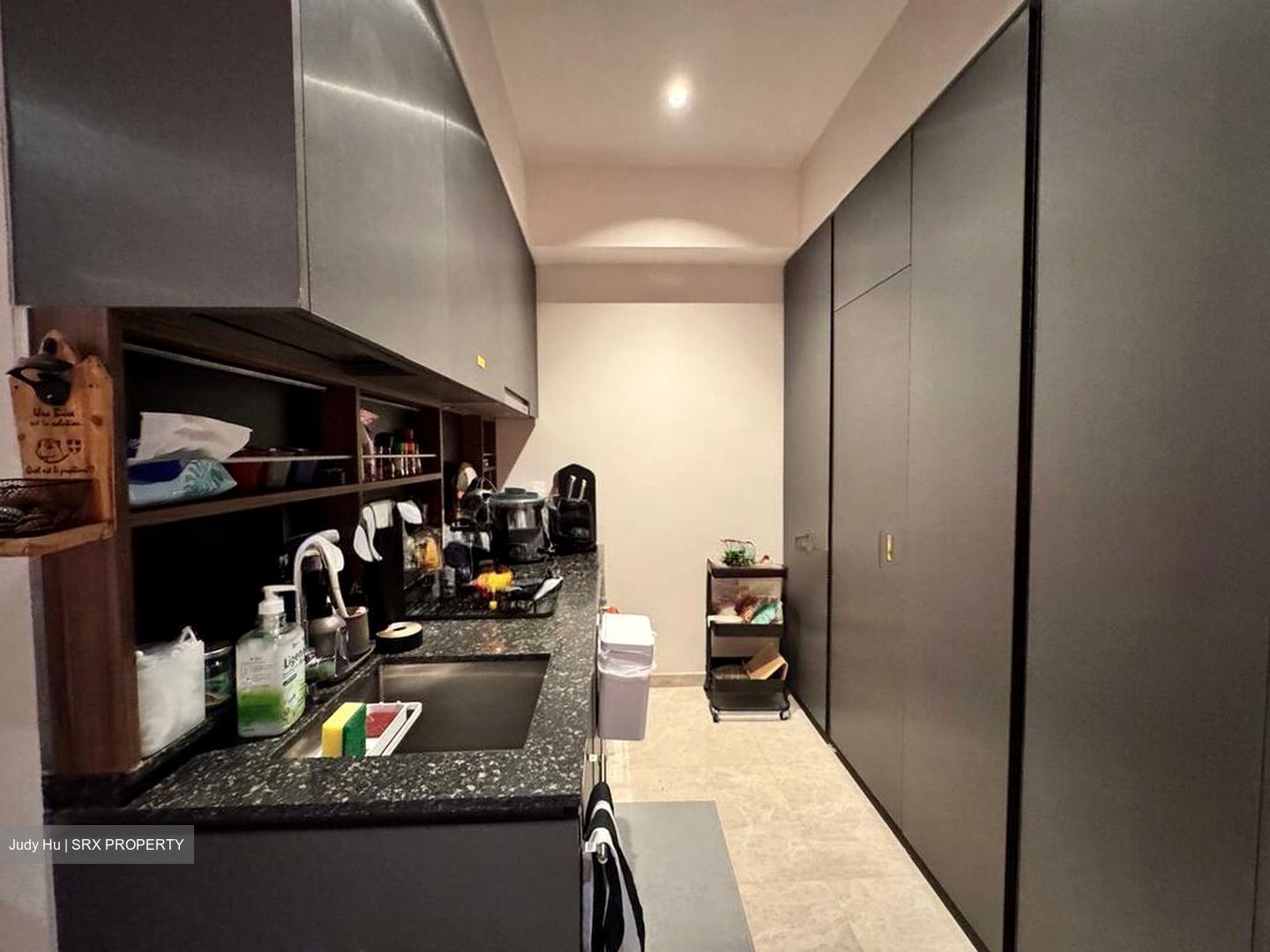 Daintree Residence (D21), Condominium #566207581